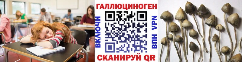 Галлюциногенные грибы мухоморы  Любань 
